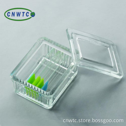 30pcs Slide Staining Rack - Get Yours Now!